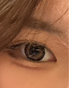 レビュー写真