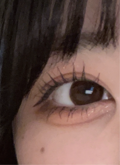 レビュー写真