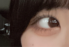 レビュー写真