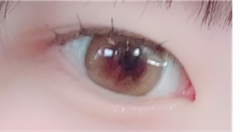 レビュー写真