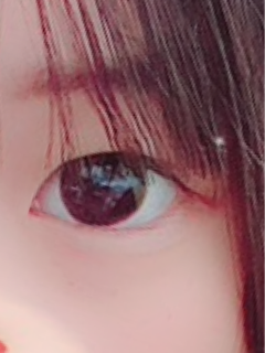 レビュー写真