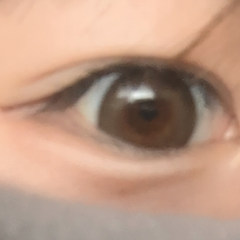 レビュー写真