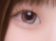 レビュー写真