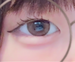 レビュー写真