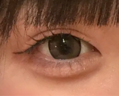 レビュー写真