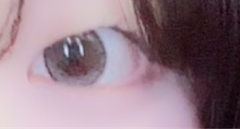 レビュー写真