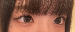 レビュー写真