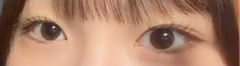 レビュー写真
