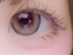 レビュー写真