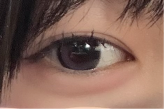 レビュー写真
