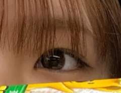 レビュー写真