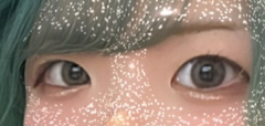 レビュー写真