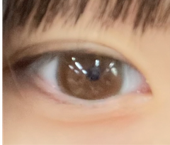 レビュー写真