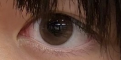 レビュー写真