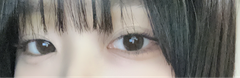 レビュー写真