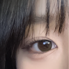 レビュー写真