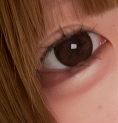 レビュー写真