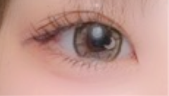 レビュー写真
