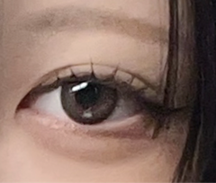 レビュー写真