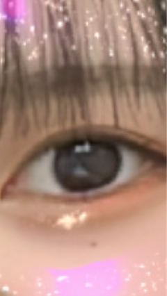 レビュー写真