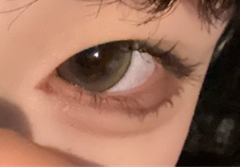 レビュー写真