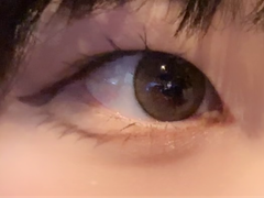 レビュー写真