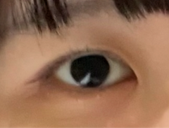 レビュー写真