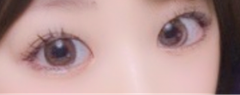 レビュー写真