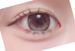 レビュー写真