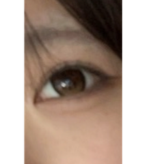 レビュー写真