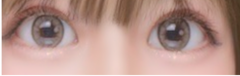 レビュー写真