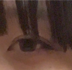 レビュー写真