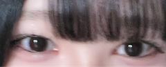 レビュー写真