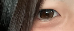 レビュー写真