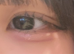 レビュー写真