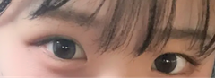 レビュー写真