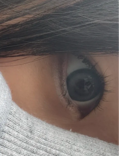 レビュー写真