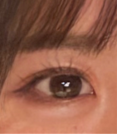 レビュー写真
