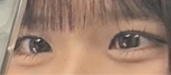 レビュー写真