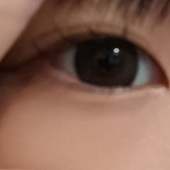 レビュー写真
