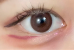 レビュー写真