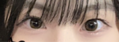レビュー写真