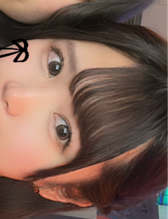 レビュー写真