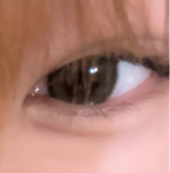 レビュー写真