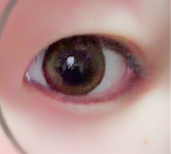 レビュー写真