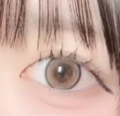 レビュー写真