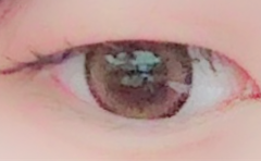 レビュー写真