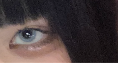 レビュー写真