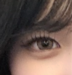 レビュー写真