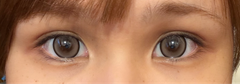 レビュー写真